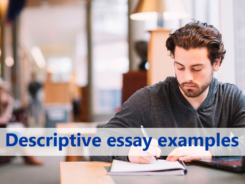 Only quality custom essays